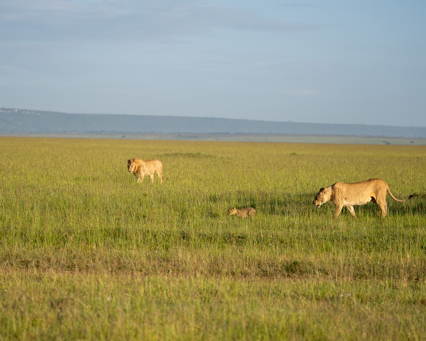 Why She Wouldn't Let Him Follow