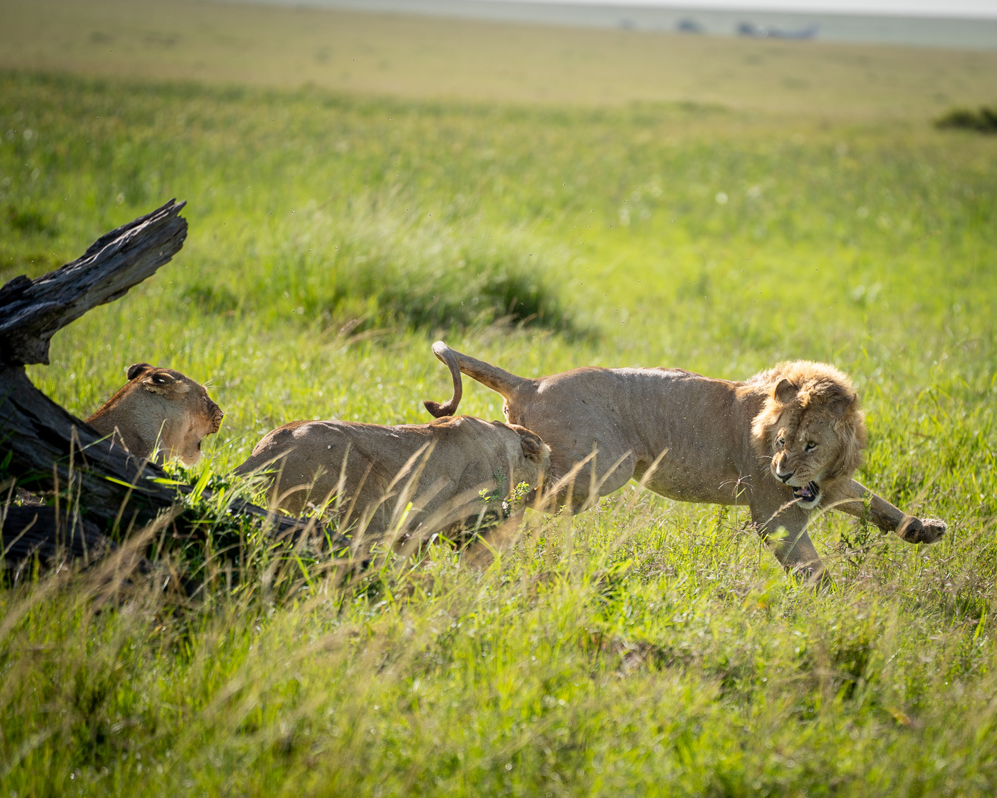 Second female turning on the first